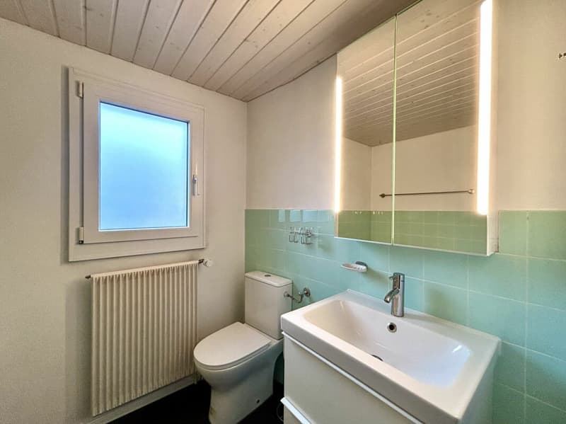 Doppeleinfamilienhaus mit Ausbaupotenzial & PV-Anlage! (9)