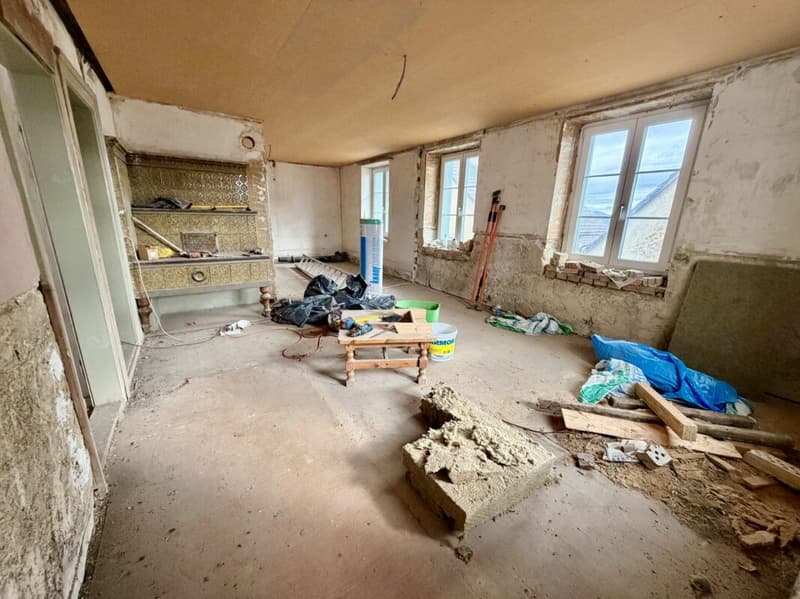 Mehr als nur ein Haus: Bauernhaus mit Scheune und unbegrenzten Möglichkeiten (8)