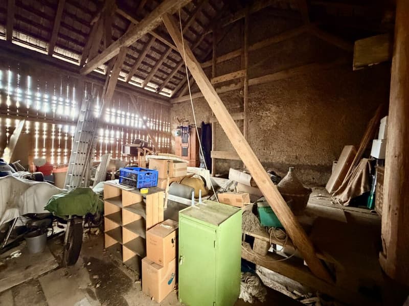 Mehr als nur ein Haus: Bauernhaus mit Scheune und unbegrenzten Möglichkeiten (12)