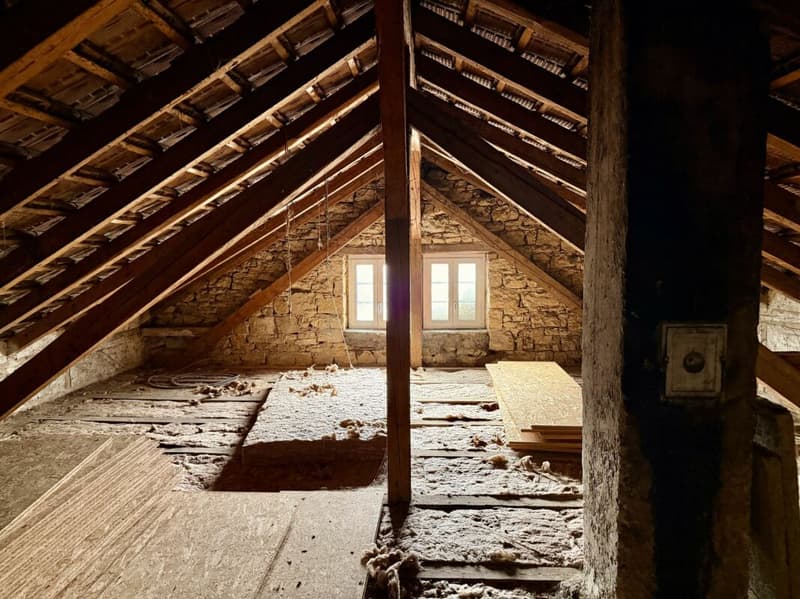 Mehr als nur ein Haus: Bauernhaus mit Scheune und unbegrenzten Möglichkeiten (9)