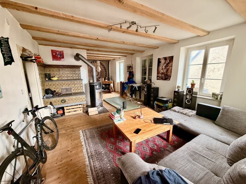 Mehr als nur ein Haus: Bauernhaus mit Scheune und unbegrenzten Möglichkeiten (4)