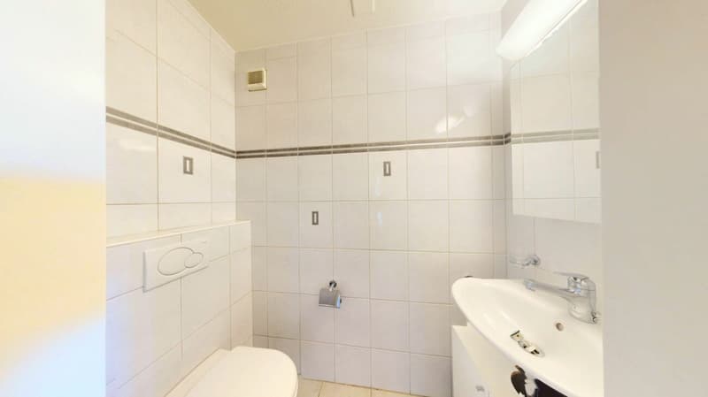 Ihr neues Familienglück, grosszügiges 5.5 Zimmer Eckhaus mit privatem Garten! (20)