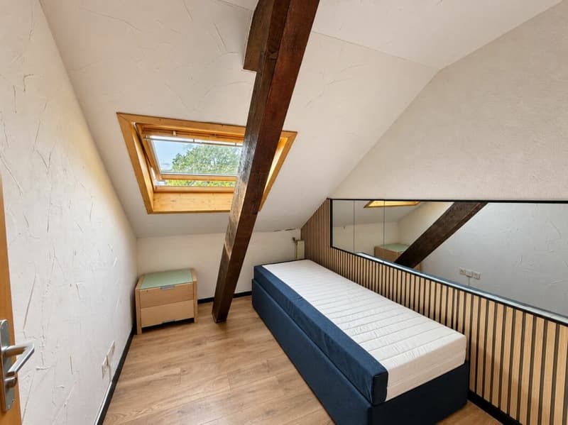 Sanierungsbedürftiges Wohn-/Geschäftshaus im Herzen von Olten (13)