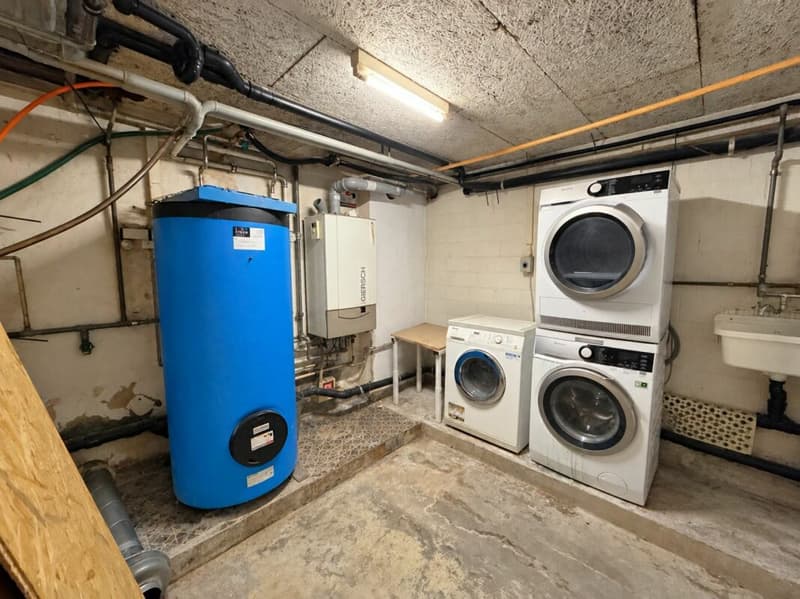 Sanierungsbedürftiges Wohn-/Geschäftshaus im Herzen von Olten (17)