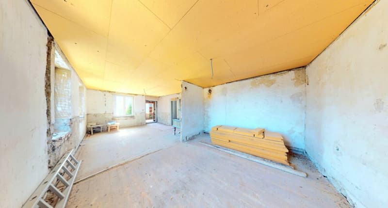 Ein Haus mit Geschichte! Bauernhaus mit Scheune, Charme & riesigem Potenzial (9)