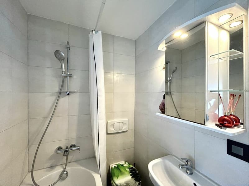 Kernsanierte 4.5-Zimmer-Maisonettewohnung mit Bergsicht! (8)