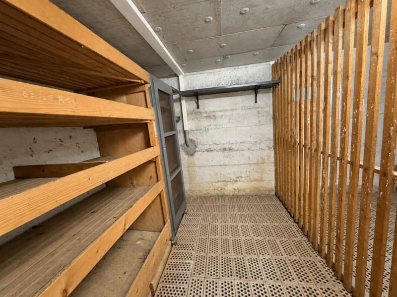 Wohnglück zum kleinen Preis - 3.5 Zimmer in Pratteln (12)