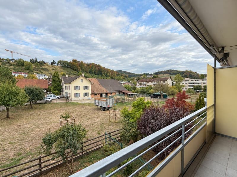 Wohnglück zum kleinen Preis - 3.5 Zimmer in Pratteln (8)