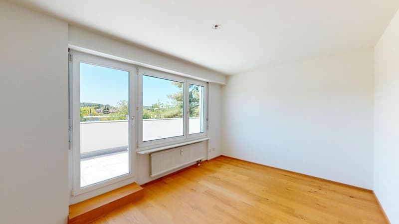 Modernisierte Attikawohnung mit traumhafter 360°-Terrasse (6)