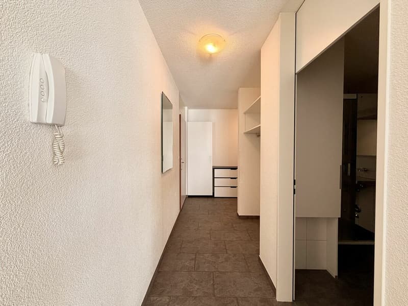 4.5 Zimmer-Wohnung in Trimbach (8)