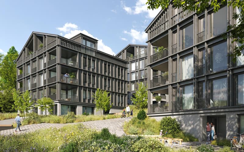 Appartement penthouse avec vue sur le lac - Vivre au-dessus des toits de Weggis (4)