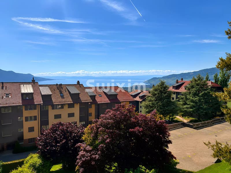 Vue imprenable sur le lac depuis l'appartement avec un environnement paisible.