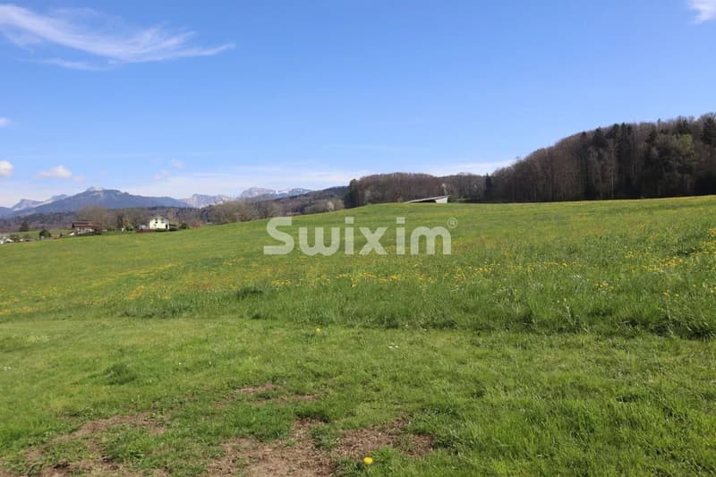 Dernière Villa à saisir ! (1)