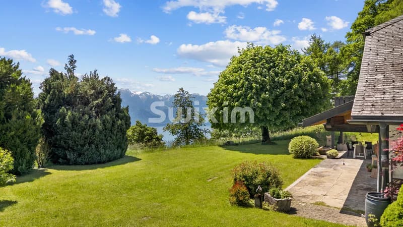 Un jardin verdoyant avec une vue sur un lac entouré de montagnes enneigées, sous un ciel bleu parsemé de quelques nuages.