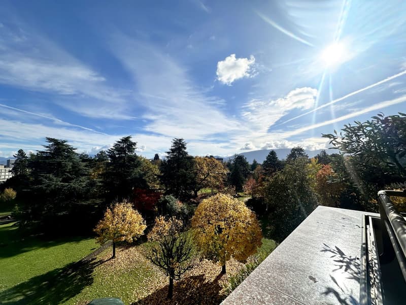 Green lawn, trees, balcony, sun shining, mountain in the distance