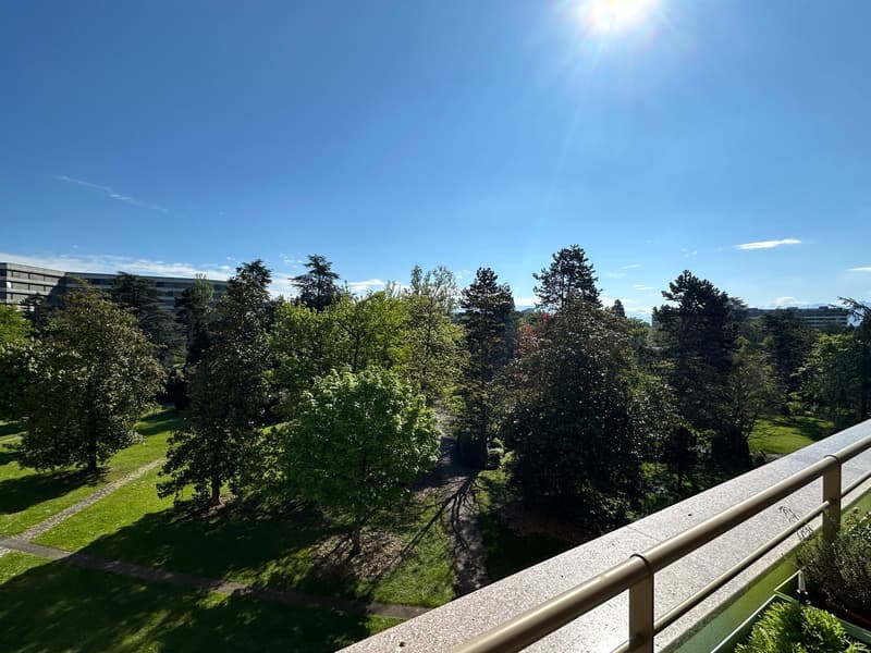 Green lawn, various trees, well maintained paths, small pathway of pebbles, metal railings on balcony