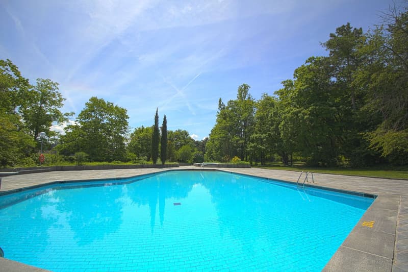 large swimming pool, trees, concrete decking, clear blue sky