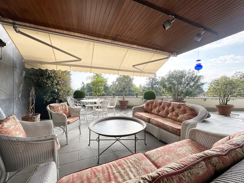 Overlooked terrace, wicker furniture, round coffee table, shaded by retractable canopy, several plants in pots, garden table, view of forest.