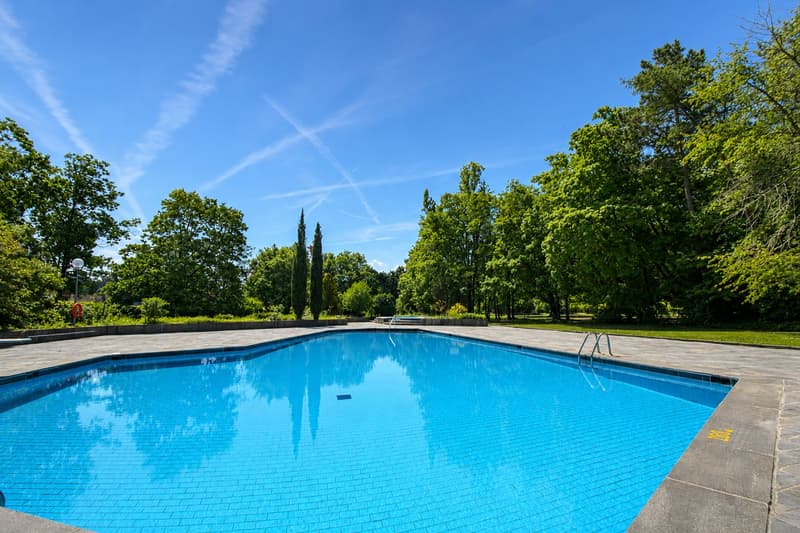 RARE : spacieux 5.5 pièces avec vue panoramique / Unique 5.5. room apartment with view (13)