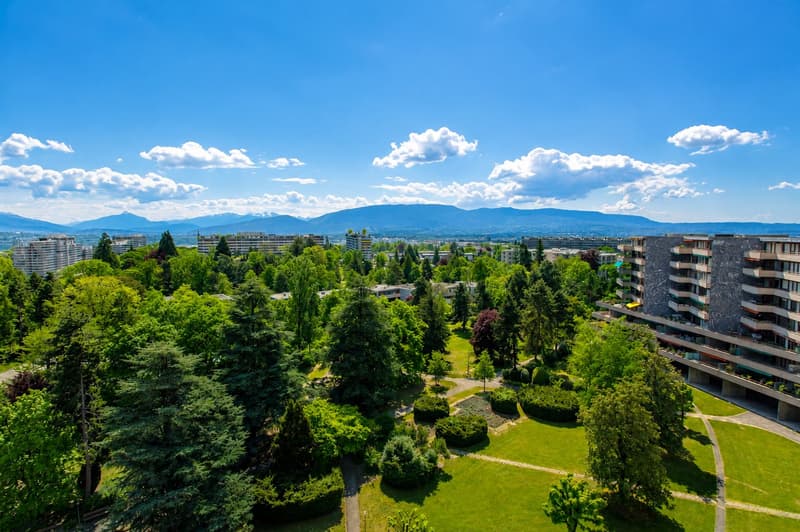 RARE : spacieux 5.5 pièces avec vue panoramique / Unique 5.5. room apartment with view (3)