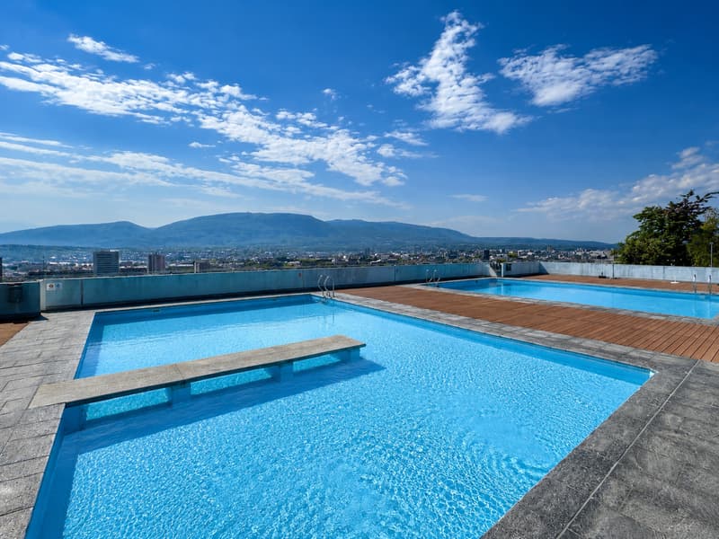 RARE: exceptionnel 5.5 pièces avec vue panoramique Genève/unique 3 bedroom unit overlooking Geneva (15)
