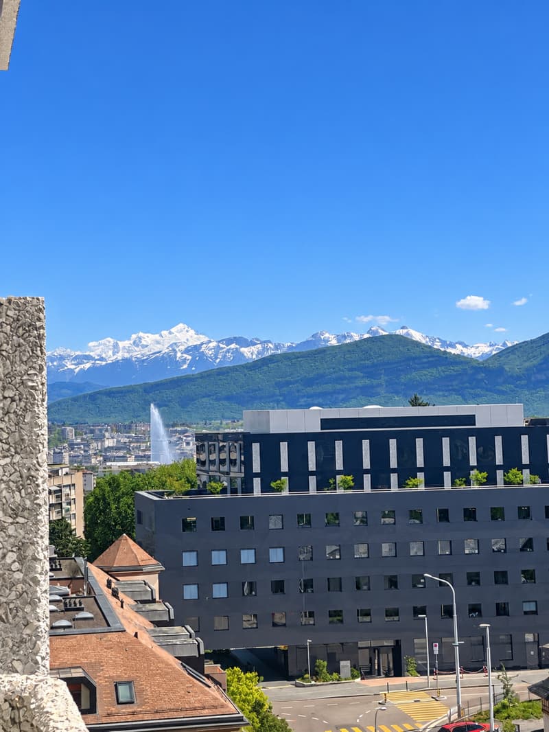 Appartement lumineux de 2,5 pièces avec vue panoramique – Genève, Petit-Saconnex (9)