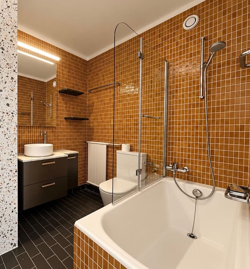 Rénové, lumineux, avec vue panoramique – Fully renovated, bright, overlooking Geneva (7)