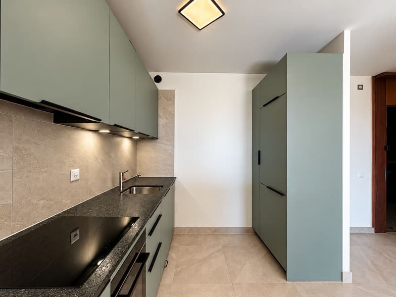 Rénové, lumineux, avec vue panoramique – Fully renovated, bright, overlooking Geneva (4)
