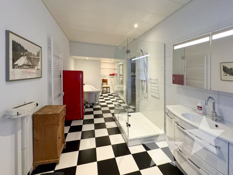 Attractive Mountain House - Successful Combination of Restaurant, Hotel, and Apartments (10)