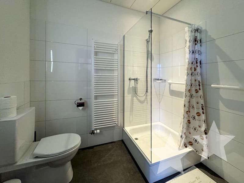 Attractive Mountain House - Successful Combination of Restaurant, Hotel, and Apartments (12)