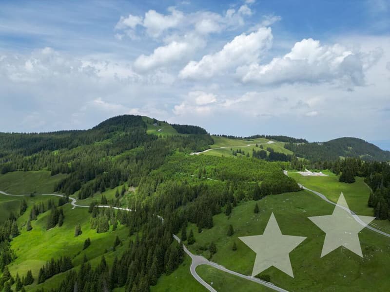 Attractive Mountain House - Successful Combination of Restaurant, Hotel, and Apartments (2)