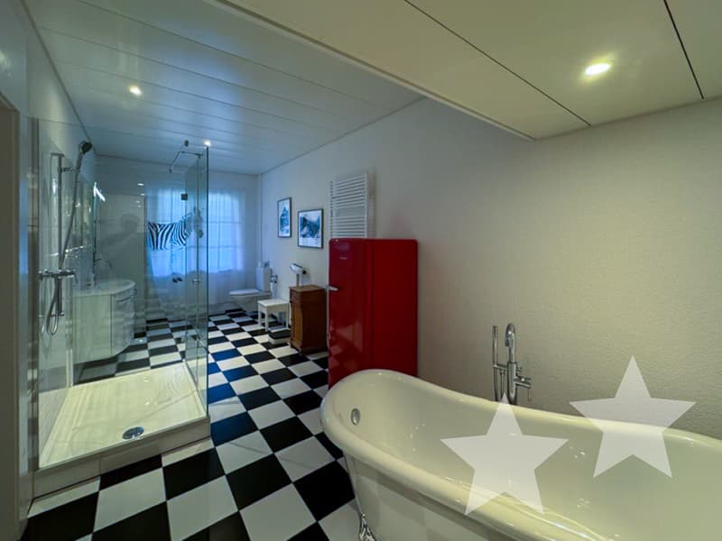 Attractive Mountain House - Successful Combination of Restaurant, Hotel, and Apartments (11)