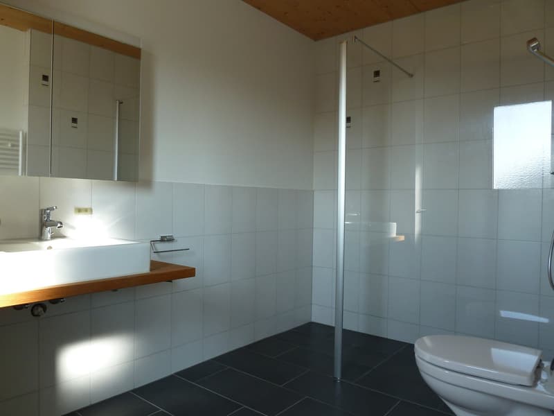 Appartamento luminoso 4.5 locali con balcone e garage a Hitzkirch (12)