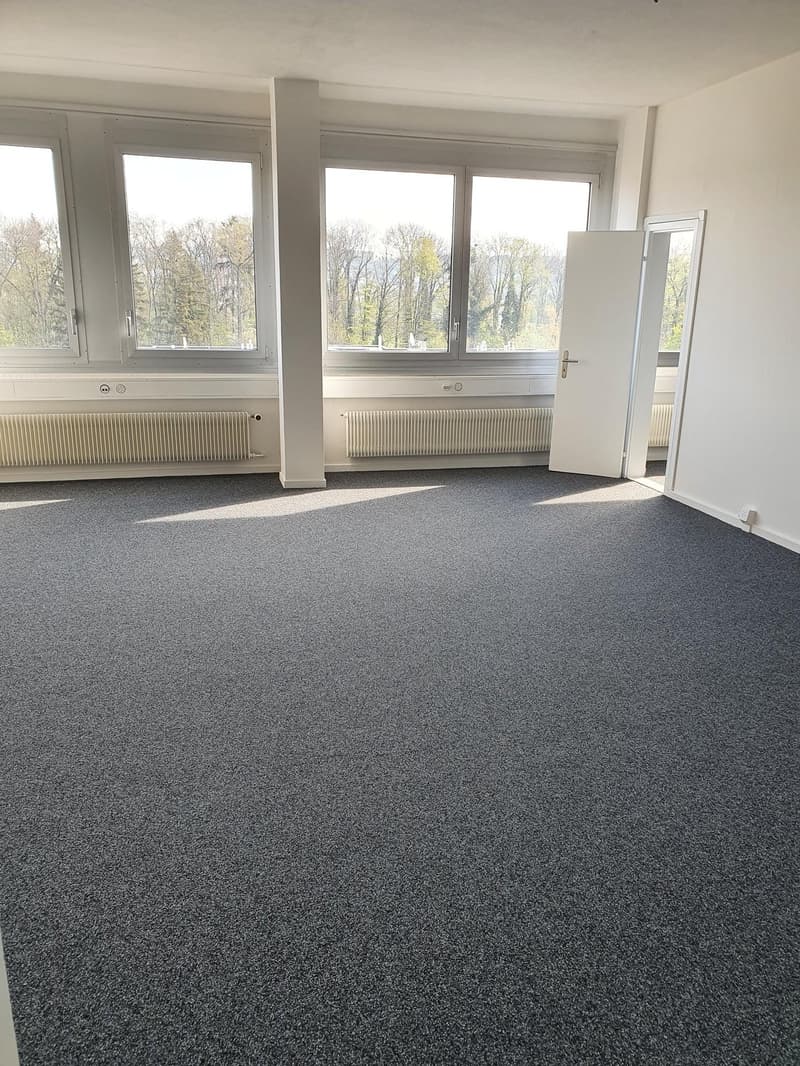 large open space, white walls, carpeted floor, large windows with views of trees outside