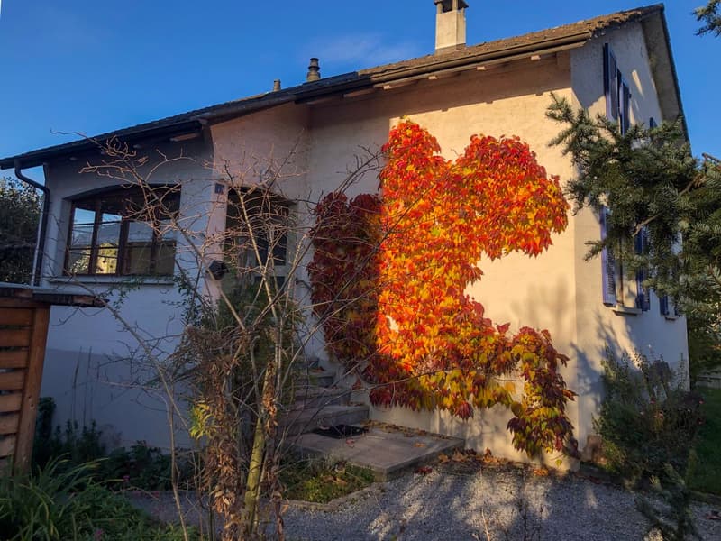 6-room single-family house in a very quiet and sunny location (4)