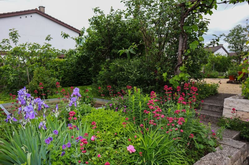 6-room single-family house in a very quiet and sunny location (12)