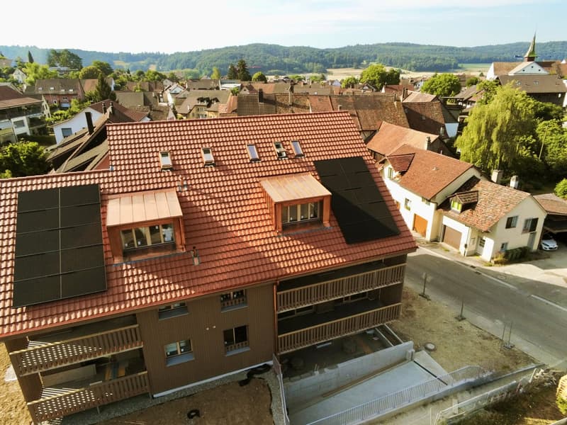 Appartamenti moderni da 3,5 a 4,5 locali a Beringen (2)