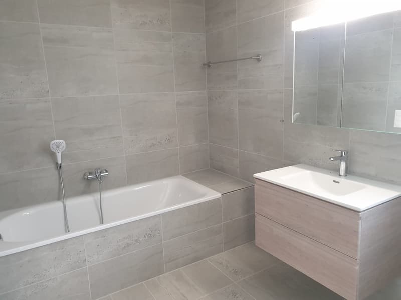 Appartement moderne 4.5 pièces avec terrasse de plus de 55m2 (5)
