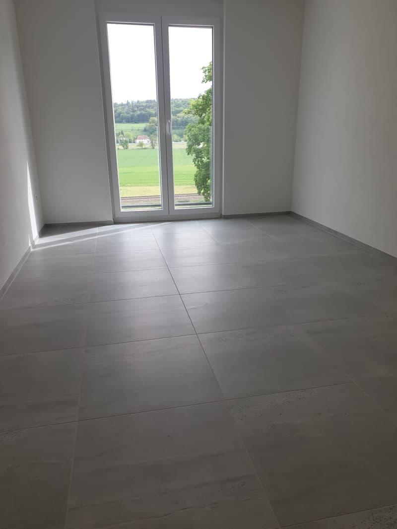 Appartement moderne 4.5 pièces avec terrasse de plus de 55m2 (8)