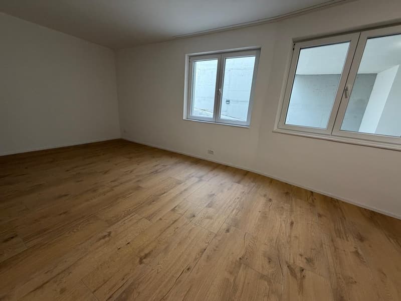 Ufficio moderno al piano inferiore – Sciaffusa, Thayngerstrasse 40 (3)