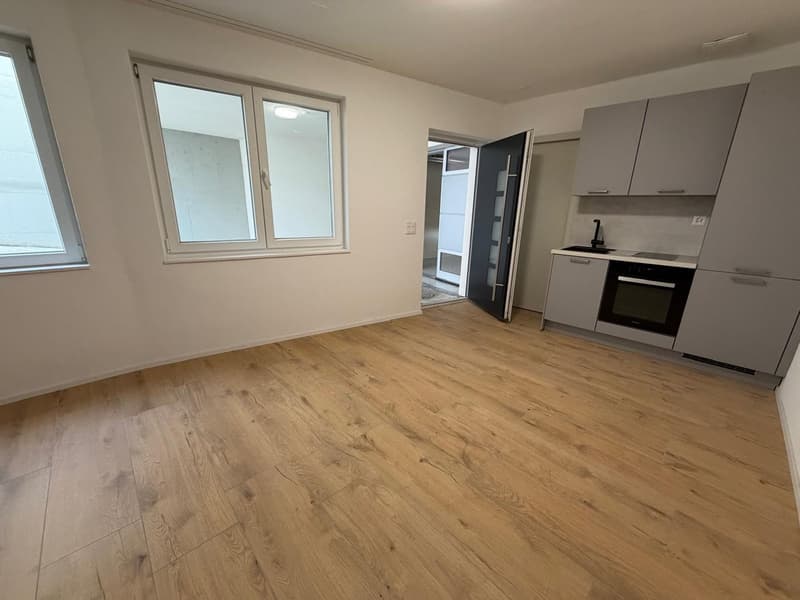 Ufficio moderno al piano inferiore – Sciaffusa, Thayngerstrasse 40 (2)