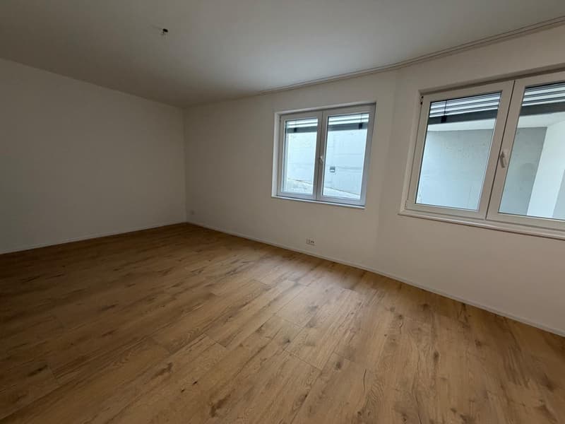 Ufficio moderno al piano inferiore – Sciaffusa, Thayngerstrasse 40 (4)