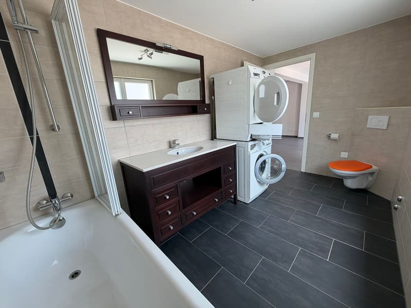 Cozy 3.5-room ground-floor apartment in Beringen (8)