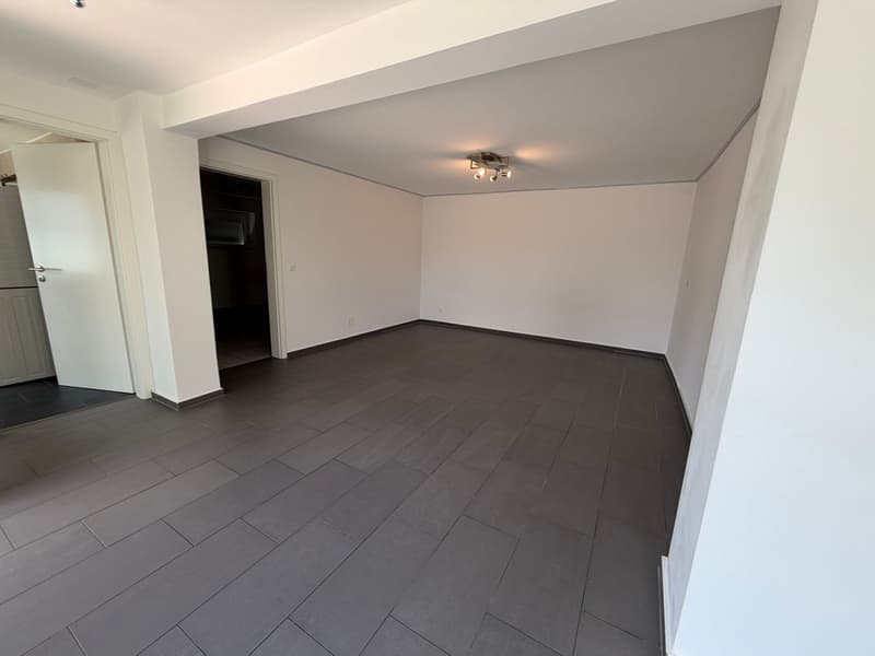 Cozy 3.5-room ground-floor apartment in Beringen (6)