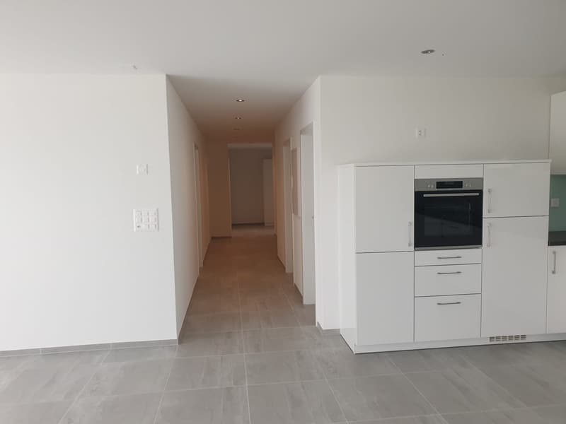 Moderne 4.5-Zimmer-Wohnung mit über 55m2 Terrasse (3)