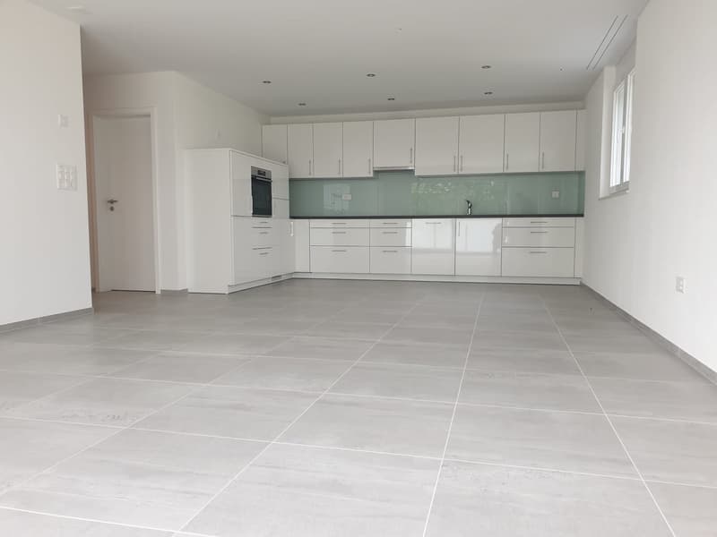 Moderne 4.5-Zimmer-Wohnung mit über 55m2 Terrasse (2)
