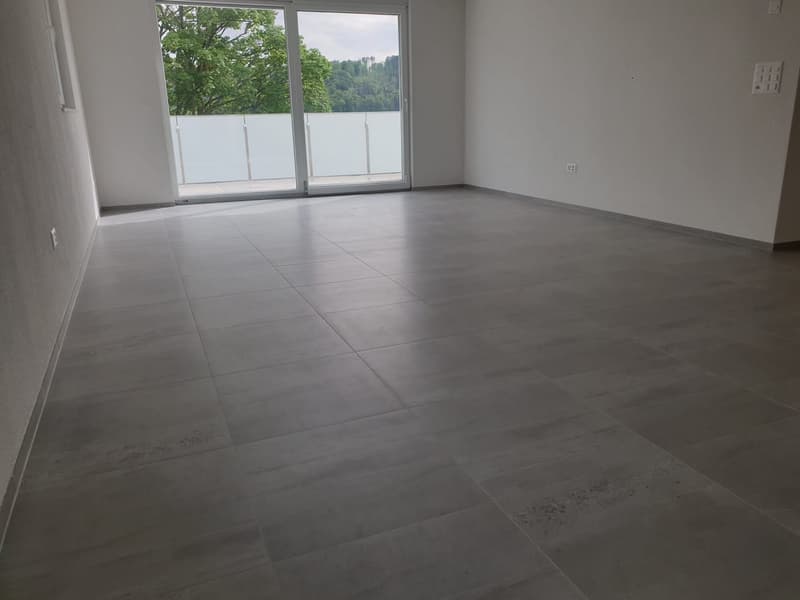 Moderne 4.5-Zimmer-Wohnung mit über 55m2 Terrasse (9)