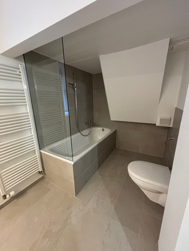 Modern bathroom with a bathtub, glass shower, and a toilet