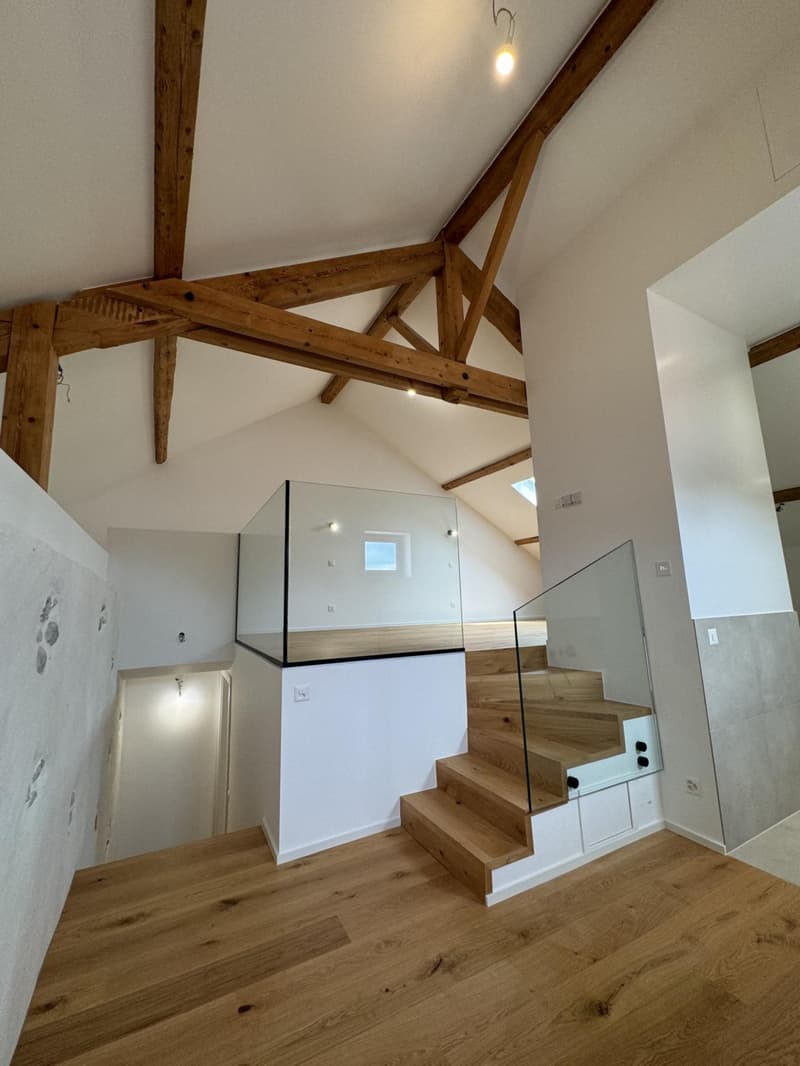Exceptional fully renovated triplex apartment for sale (8)