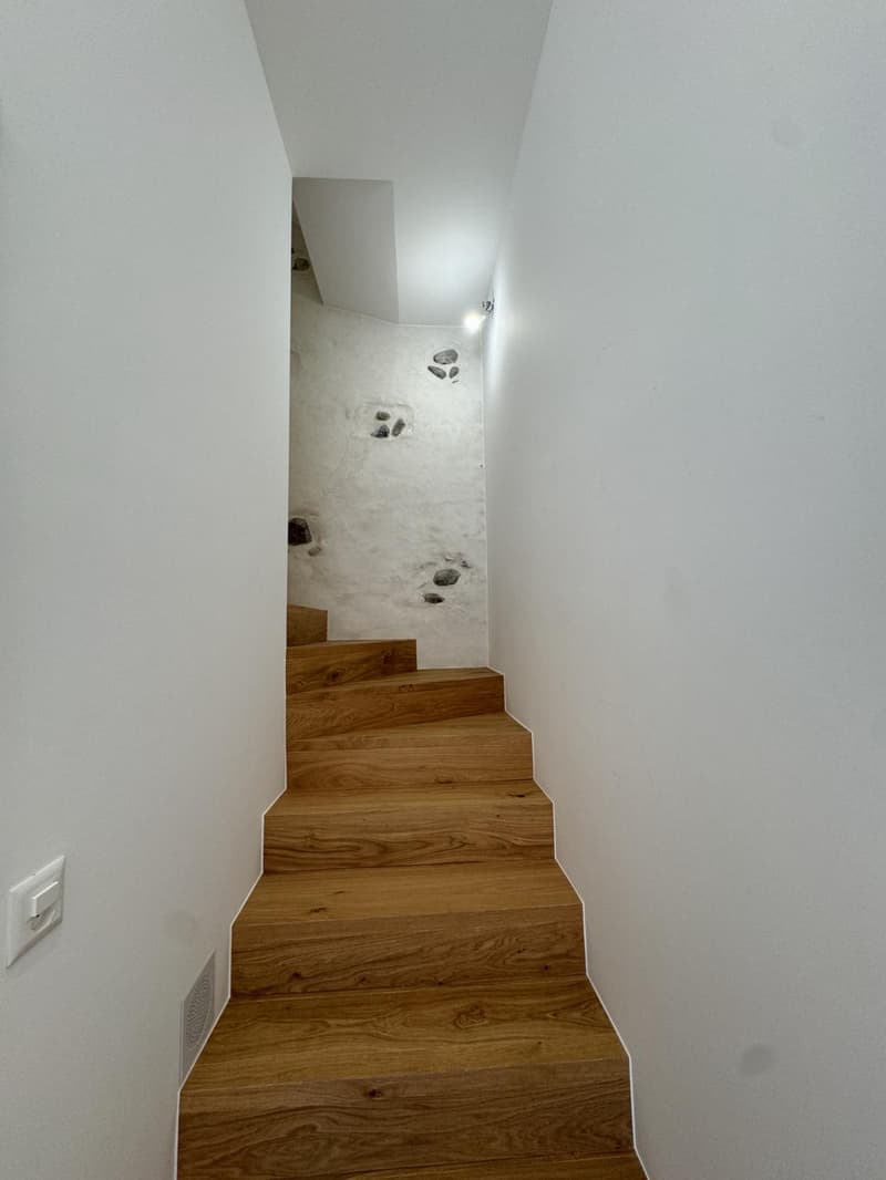 Exceptional fully renovated triplex apartment for sale (3)
